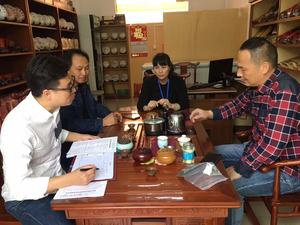 定性调查研究类